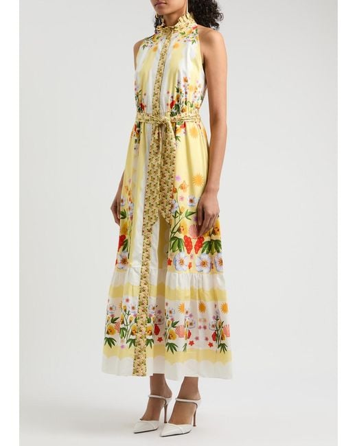 Borgo De Nor Metallic Biba Floral-Print Cotton Maxi Dress