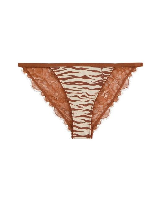 LoveStories White Wild Rose Zebra-Print Lace Briefs