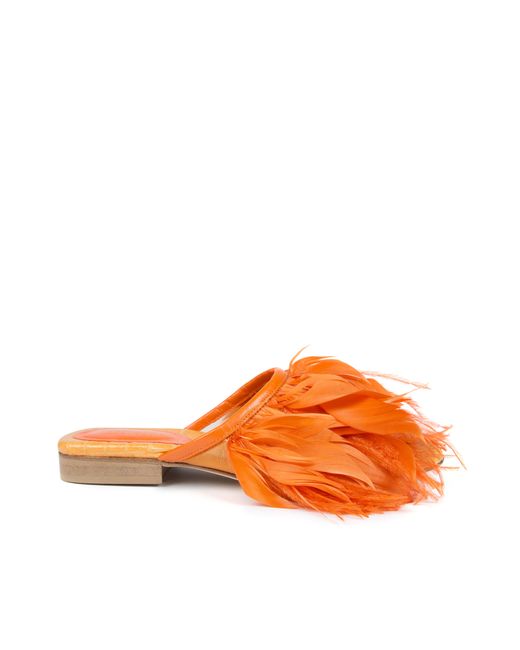 Nora Aÿtch Farah Orange Feather Slippers