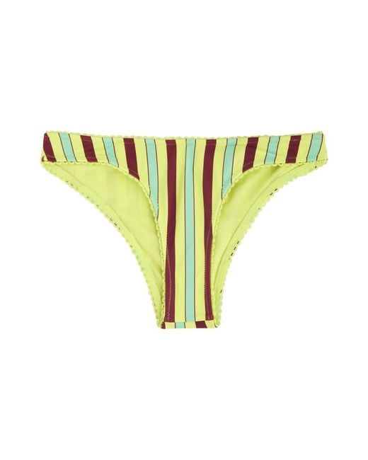 Damson Madder Yellow Striped Bikini Briefs