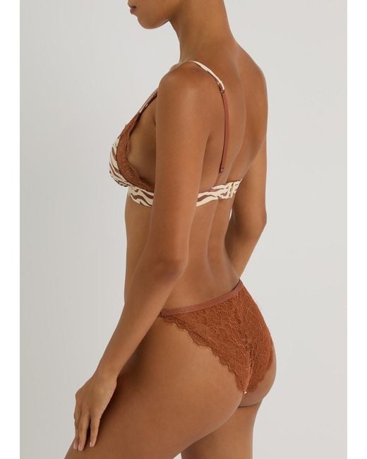 LoveStories White Wild Rose Zebra-Print Lace Briefs