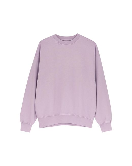 COLORFUL STANDARD Purple Cotton Sweatshirt