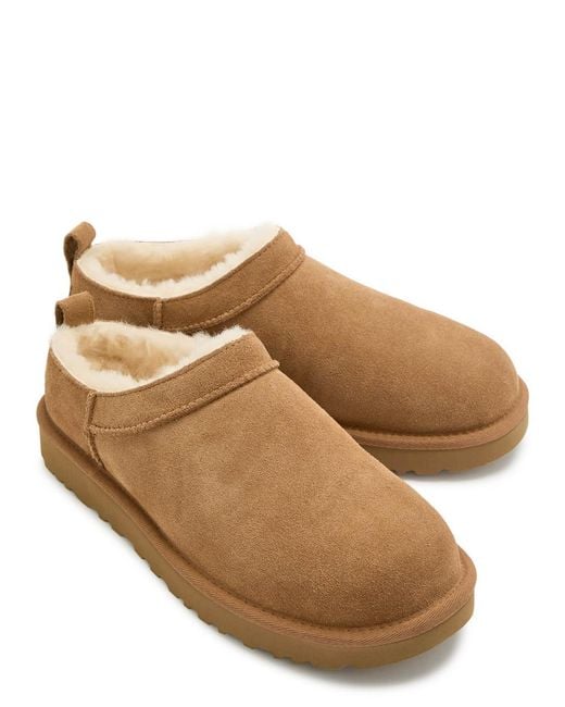 Ugg Brown Classic Micro Suede Ankle Boots