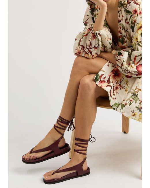 A.Emery Brown A. Emery Shel Lace-up Leather Thong Sandals