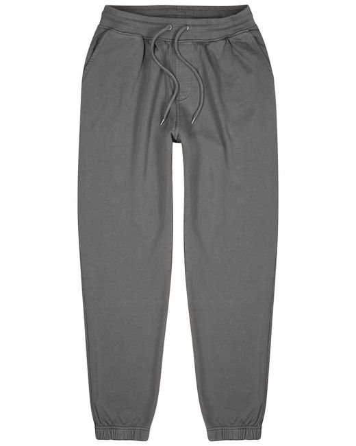 COLORFUL STANDARD Gray Cotton Sweatpants for men