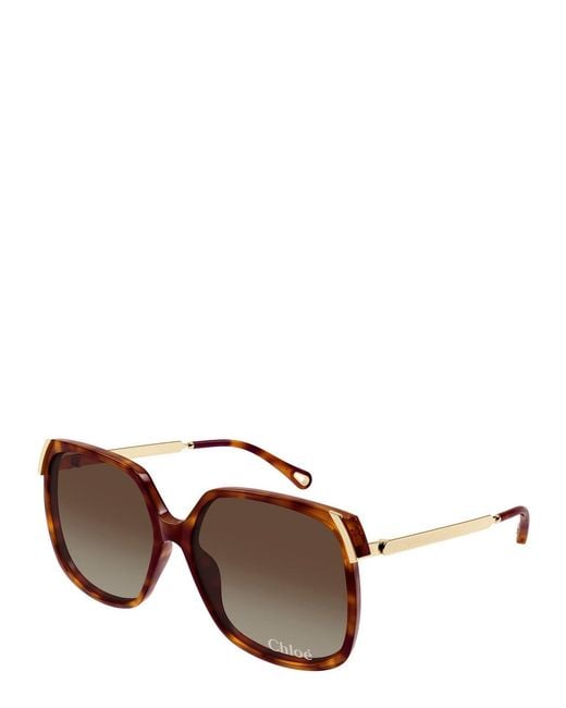 Chloé Brown Aly Square-Frame Oversized Sunglasses