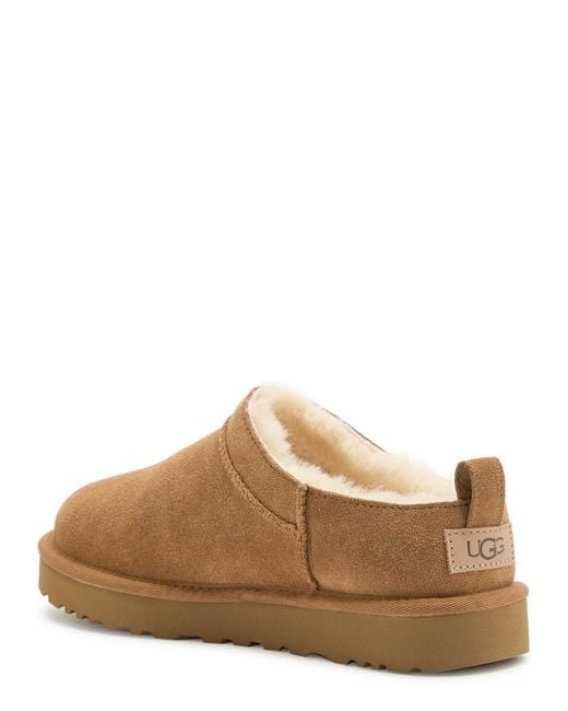 Ugg Brown Classic Micro Suede Ankle Boots