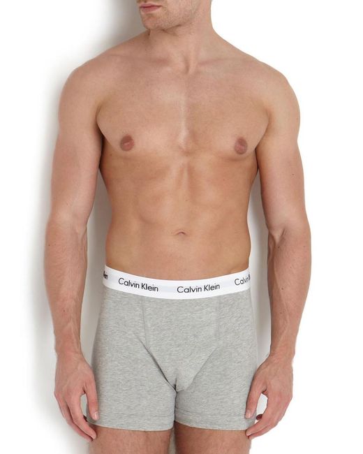 Calvin Klein Gray Stretch-cotton Trunks for men