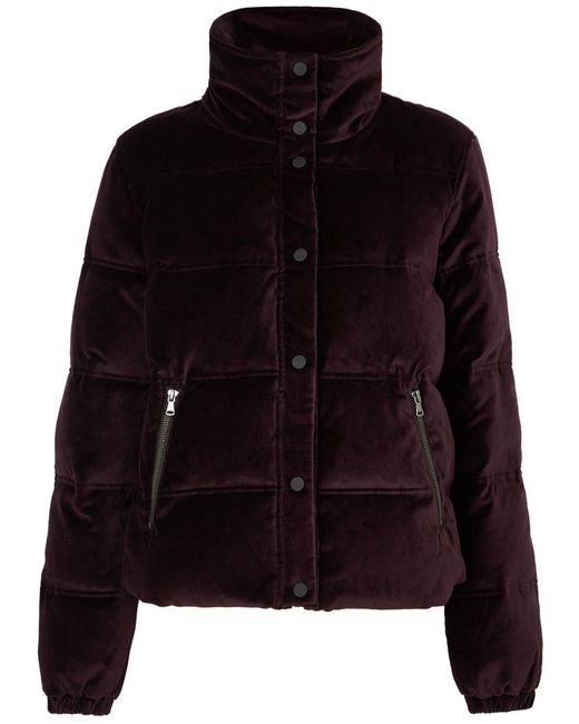 PAIGE Black Alpine Quilted Velvet Jacket