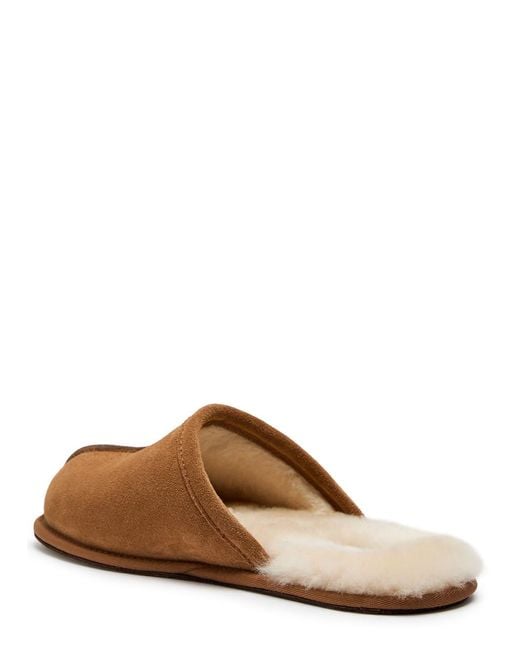 Ugg Brown Scuff Suede Slippers for men