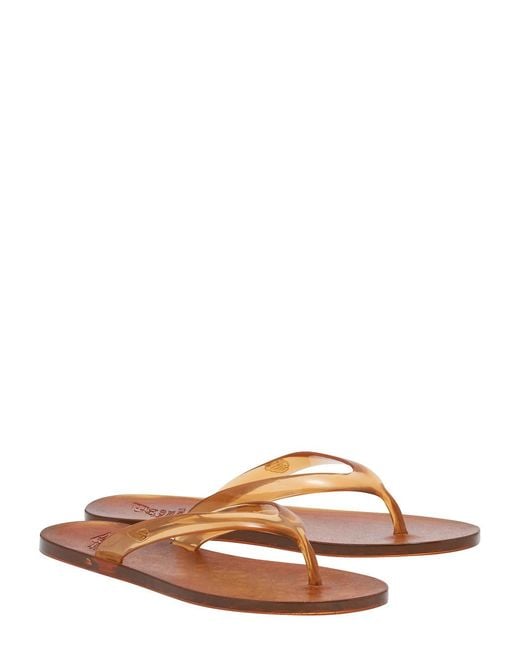Ancient Greek Sandals Brown Jelly Flip Flops