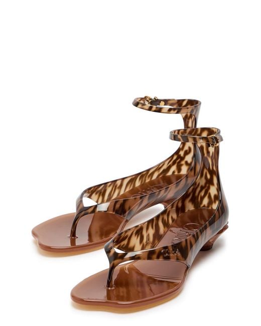 Chloé Brown Jelly 25 Thong Sandals