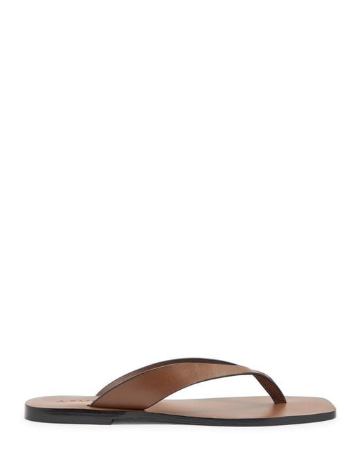A.Emery Brown Kinto Leather Flip Flops