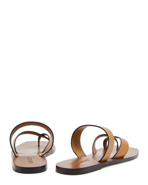 A.Emery Brown A. Emery Carter Leather Thong Sandals