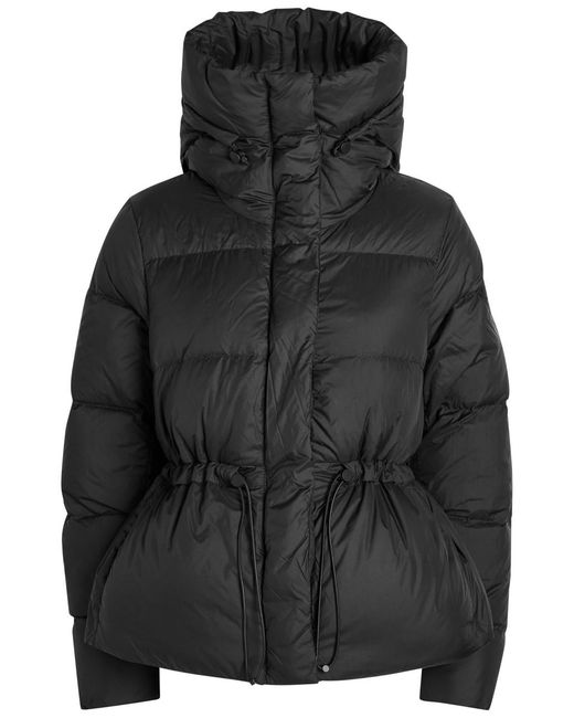 Canada Goose Black Montgomery Padded Shell Coat