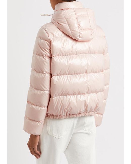 Moncler Pink Andro Quilted Shell Jacket