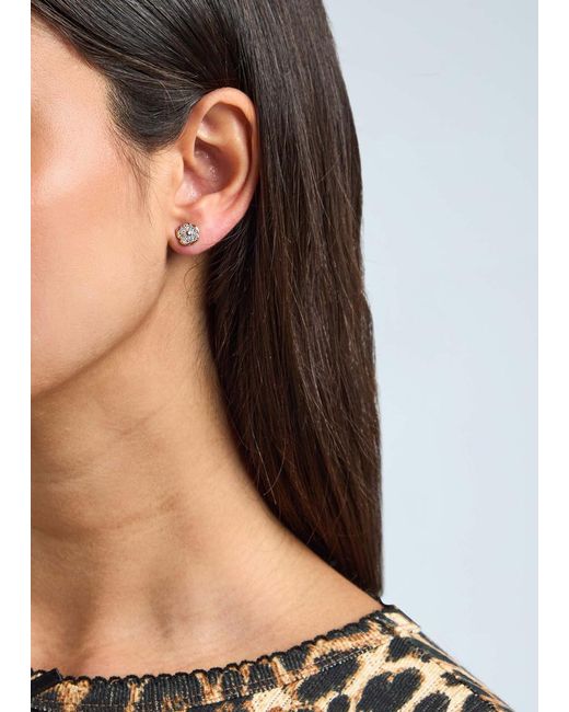 COACH Metallic Tea Rose Embellished Stud Earrings
