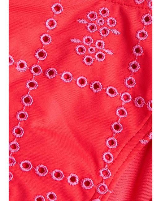 Damson Madder Embroidered Bikini Briefs