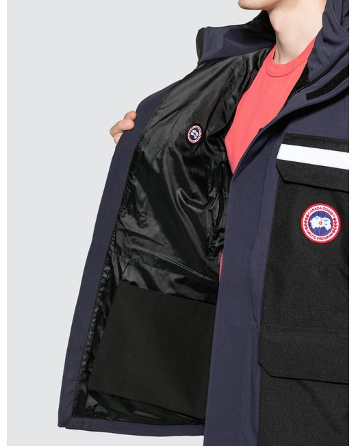 canada goose photojournalist