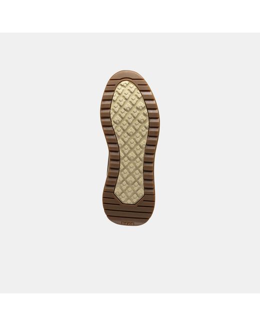 Helly Hansen Brown Forest Evo Leather Shoes for men