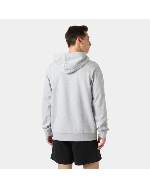 Helly Hansen Gray Core Graphic Hoodie for men