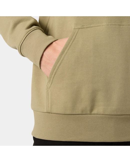 Helly Hansen Green Box Hoodie for men