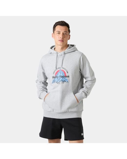 Helly Hansen Gray Core Graphic Hoodie for men