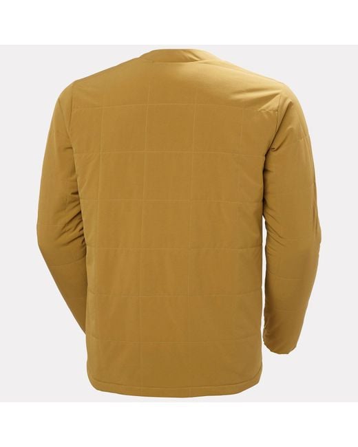 Marrone di Helly Hansen in Metallic