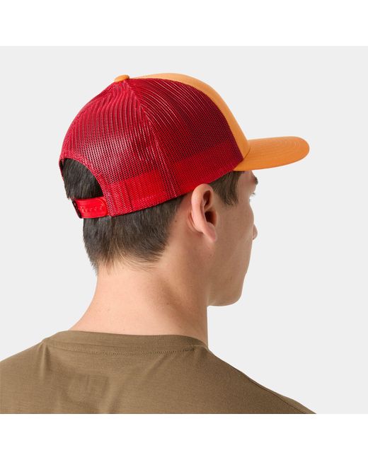 Helly Hansen Brown Trucker Cap Std