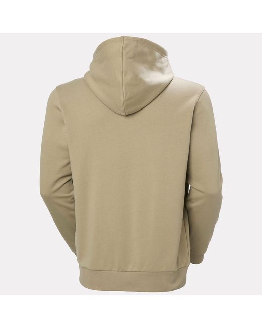 Helly Hansen Green Box Hoodie for men