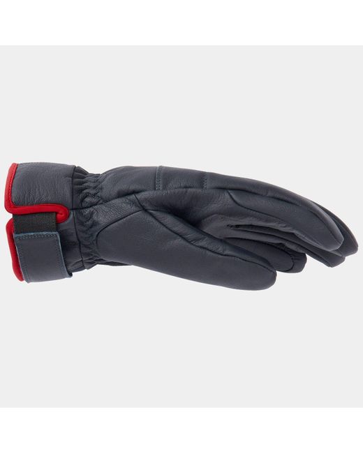 Helly Hansen Alpha Gloves Herren in Blue für Herren