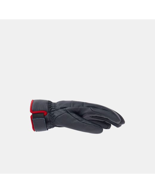 Helly Hansen Blue Alpha Gloves for men