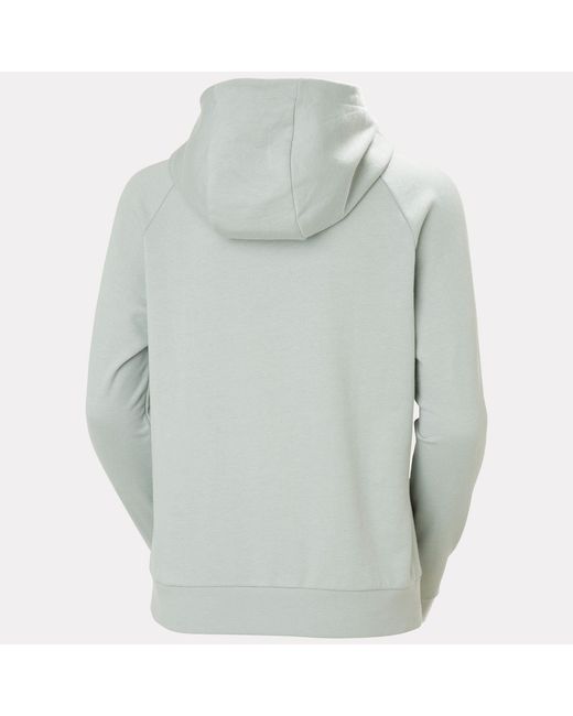 Helly Hansen Gray Core Hoodie