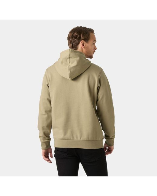 Helly Hansen Green Box Hoodie for men