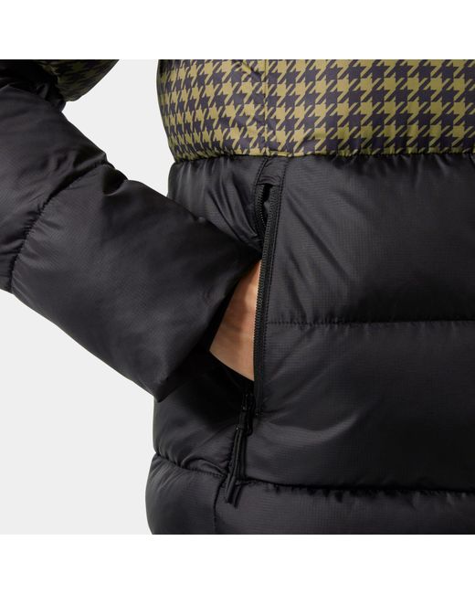 Marrone di Helly Hansen in Green