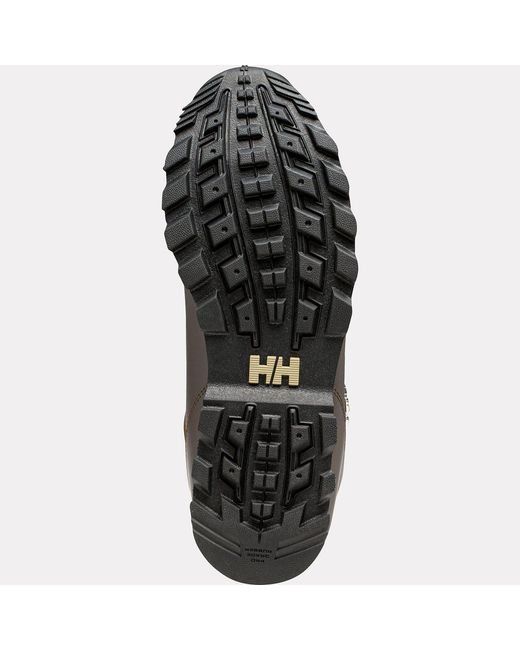 Marrone di Helly Hansen in Brown da Uomo