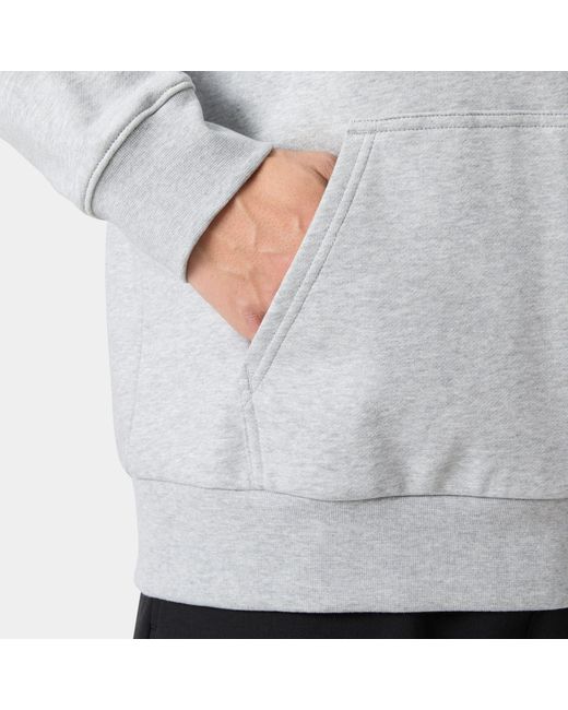 Helly Hansen Gray Core Graphic Hoodie for men