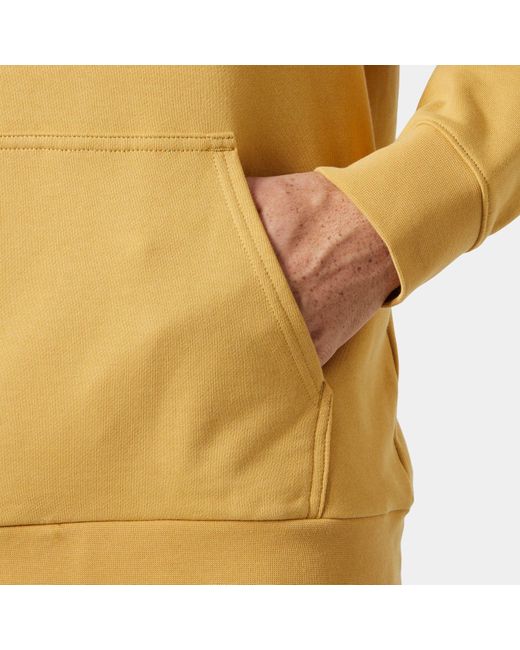 Helly Hansen Beige 2Xl di Helly Hansen in Metallic da Uomo