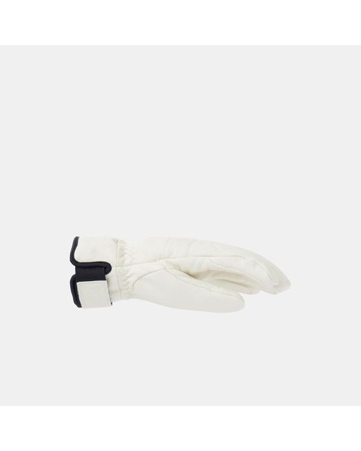 Helly Hansen Blue Alphelia Gloves Damen