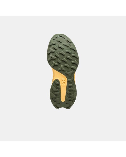 Helly Hansen Green Awe Hiker Dwr Shoes