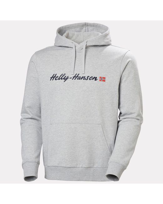 Helly Hansen Gray Core Graphic Hoodie for men