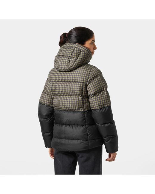 Marrone di Helly Hansen in Green