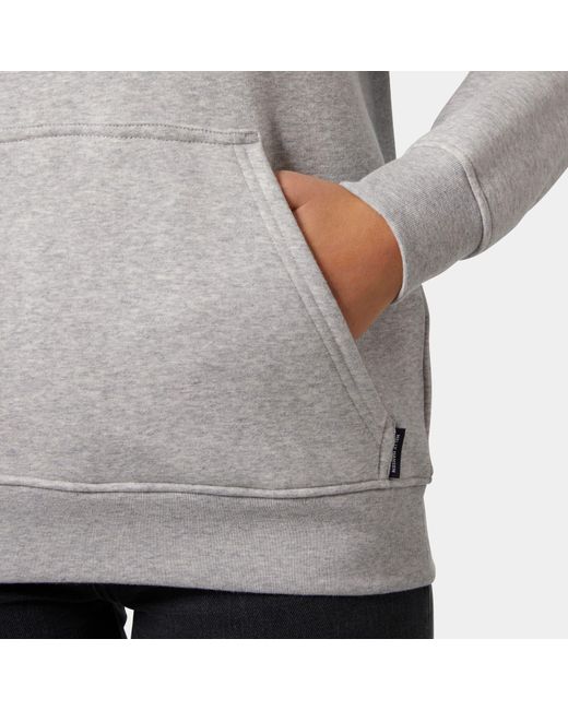 Helly Hansen Gray Elevate Hoodie