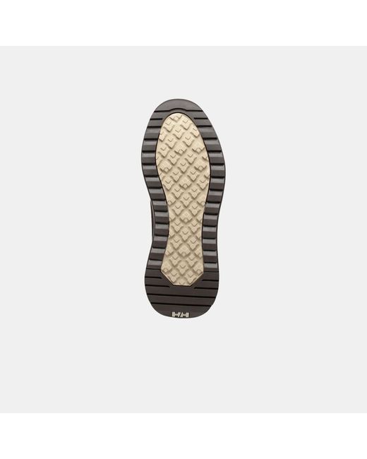 Helly Hansen Brown Beckett Shoes for men