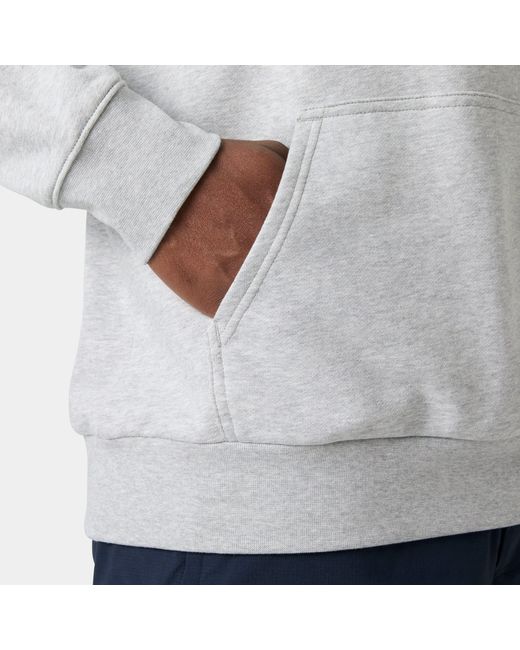 Helly Hansen Gray Core Graphic Hoodie for men