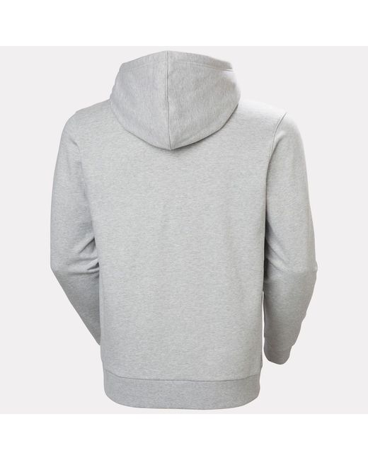 Helly Hansen Gray Core Graphic Hoodie for men