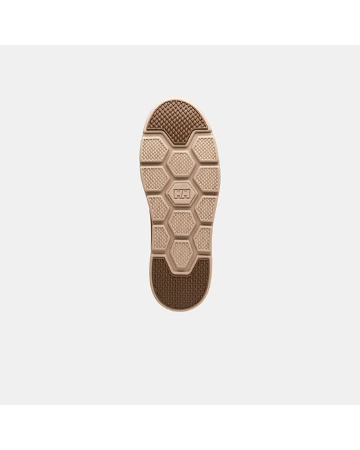 Helly Hansen Pinehurst Low Shoes in Brown für Herren