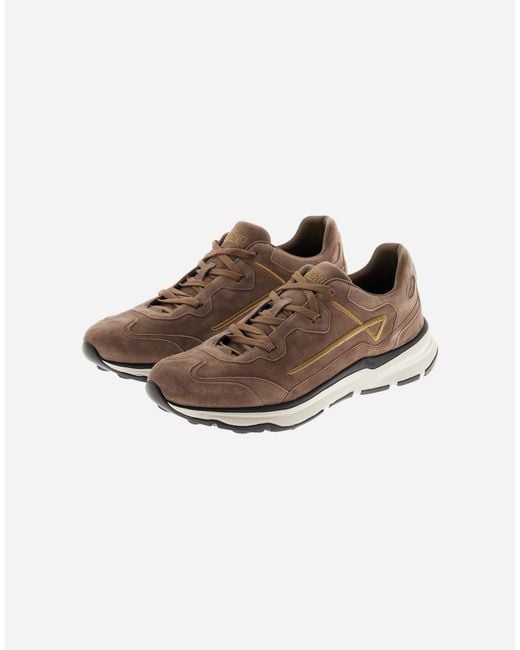 Herno Brown Maggiore Trainers for men