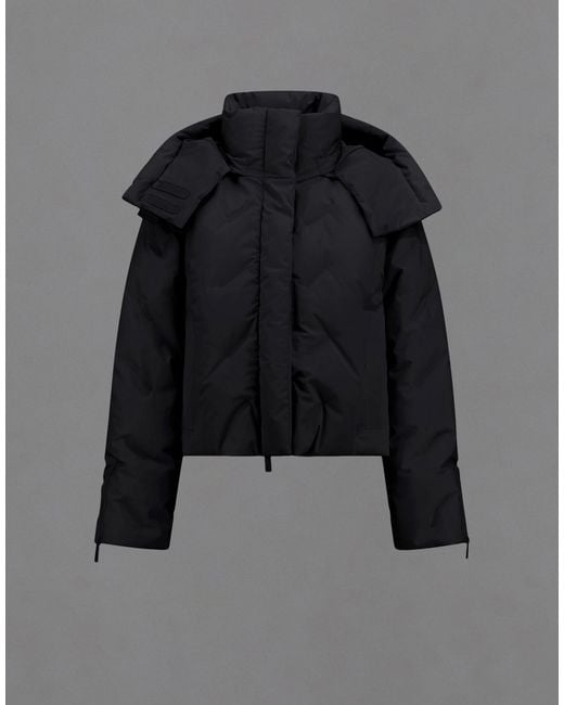 Herno Black Laminar Jacket
