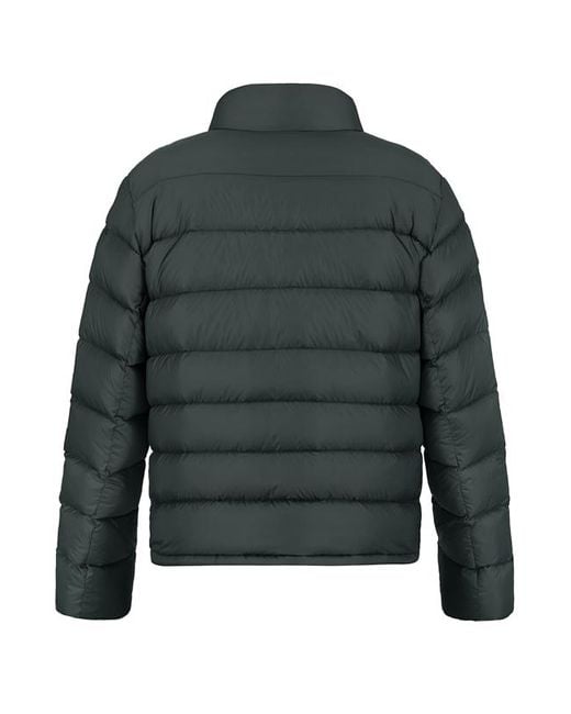 Bogner Herren Jacken Unifarben in Green für Herren
